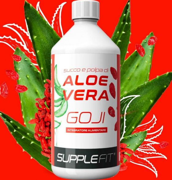 Saft & Fruchtfleisch (der Aloe Vera, Goji) - INTB009
