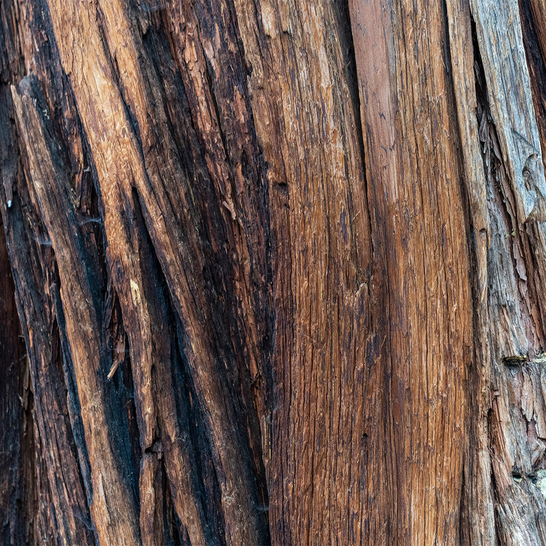 Nr. 147/3147M Dark Nectar-Herrenparfüm - Insp. by. Bottled Absolut - Hugo Boss