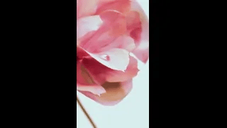 LUSH CLOUD Pacific Aura - Parfümiertes Körperspray - SBM002