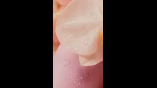 LUSH CLOUD Blooming Musik - Haarparfüm-Spray - SHM002