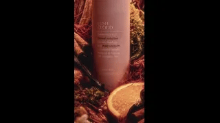 LUSH CLOUD Oriental Seduction - Haarparfüm-Spray - SHM005