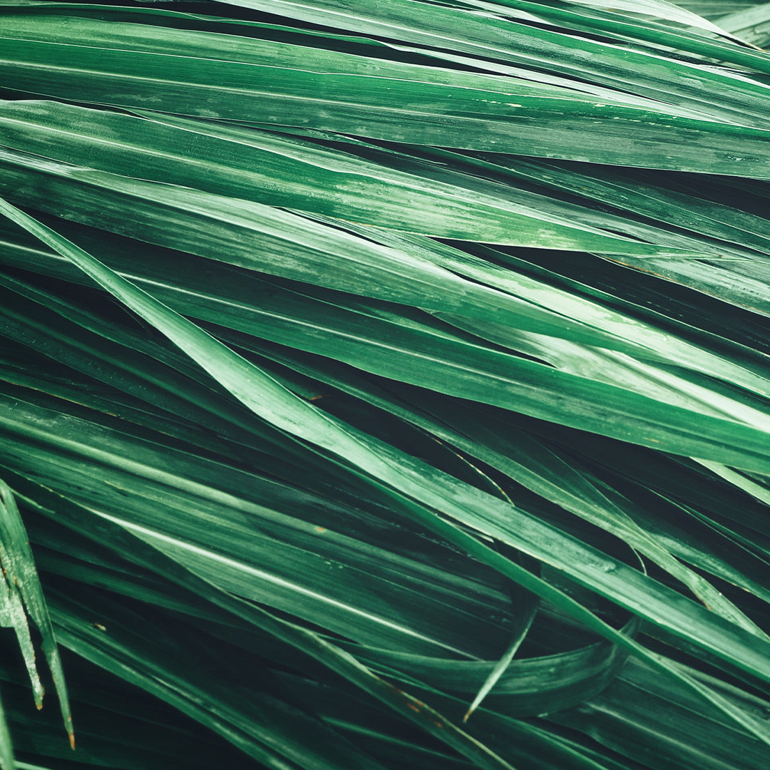 Nr. 162M/3162M Eternal Love for Him-Damenparfüm Insp. by. Valentino - Uomo Born In Roma Intense